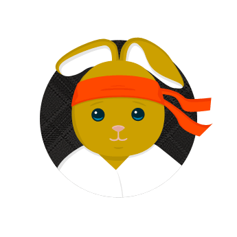 Bunny Dojo